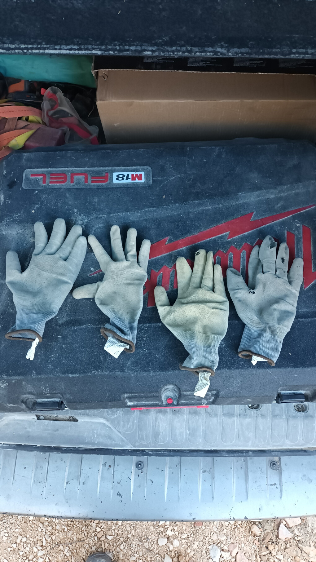 4463436.jpg 4463436.jpg