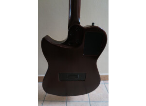 Godin Multiac Duet Steel (86836)