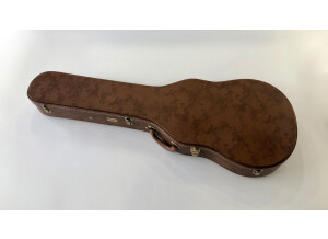 Gibson 1960 Les Paul Standard Reissue 2013 (51624)
