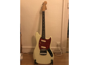 Fender MG65 (95438)