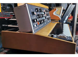 Moog Music Minimoog Model D (2016) (48618)
