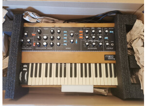 Moog Music Minimoog Model D (2016) (61380)