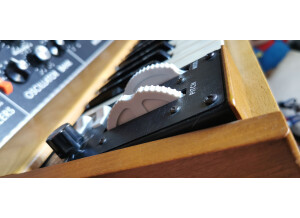 Moog Music Minimoog Model D (2016) (89839)