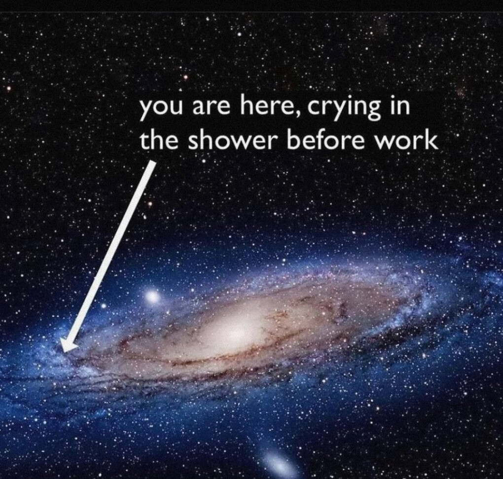 4469805.jpg 4469805.jpg