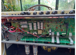 184384593_476269283630393_6595550958924501903_n