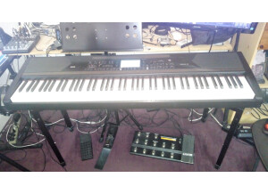 Korg HAVIAN-30 (47205)