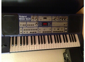 Roland EG-101 (54145)