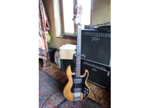 Peavey T-40