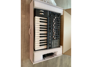 Arturia MiniBrute 2 (80425)