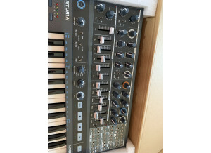 Arturia MiniBrute 2 (36917)