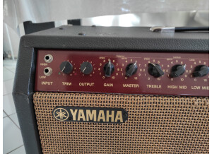 Yamaha DG100-212