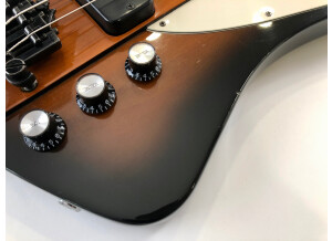 Gibson Thunderbird IV (5313)