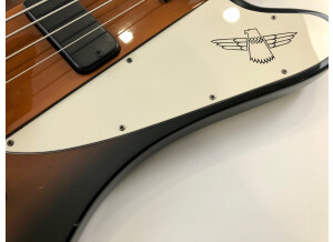 Gibson Thunderbird IV (90238)