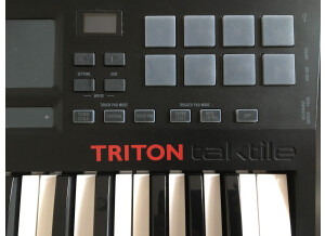 Korg Triton Taktile 25