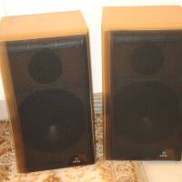 Paire Enceinte INFINITY 21i