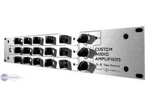 Custom Audio Electronics 3 + SE (35480)