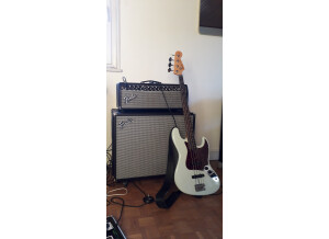 Fender Bassman 500 Head