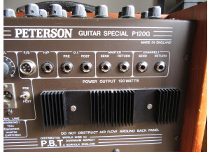 Peterson Guitar Special 100