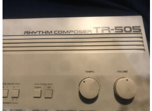 Roland TR-505 (3996)