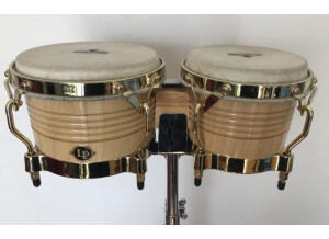 Latin Percussion Generation II professional bongos