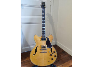 Ibanez AS200 [1979-2001] (49164)