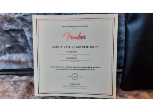 Fender American Ultra Stratocaster (77328)