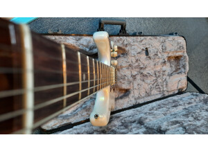 Fender American Ultra Stratocaster (78983)