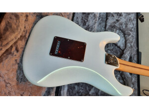 Fender American Ultra Stratocaster (77777)