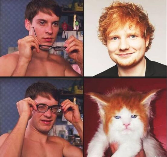 4493745.jpg 4493745.jpg