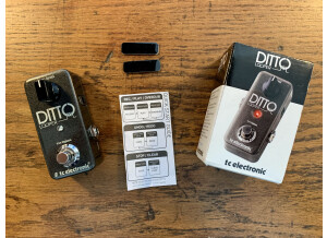 TC Electronic Ditto Looper (79222)