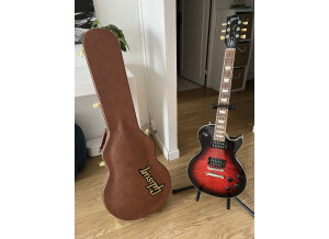 Gibson Slash Les Paul Standard 2020 (14641)
