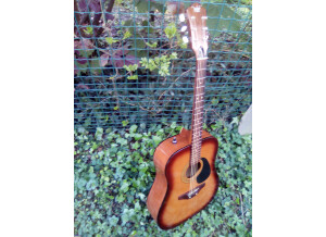 Melody Guitars Mod 500