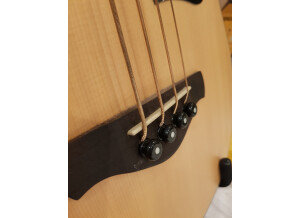 Ibanez AWB50CE (7381)