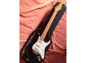 Fender [Standard Series] Stratocaster - Black Maple
