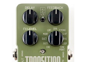 TC Electronic Transition Delay