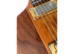 Gibson Firebird V (1976) (81596)