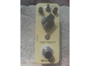 Mooer Funky Monkey