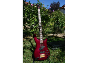 Spector Euro 4 LX (55876)