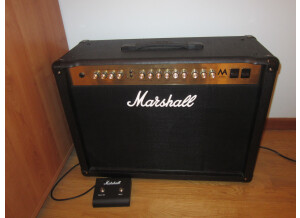 Marshall [MA Series] MA100C
