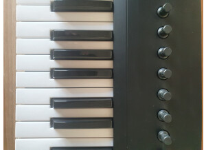 Native Instruments Komplete Kontrol A25 (28786)