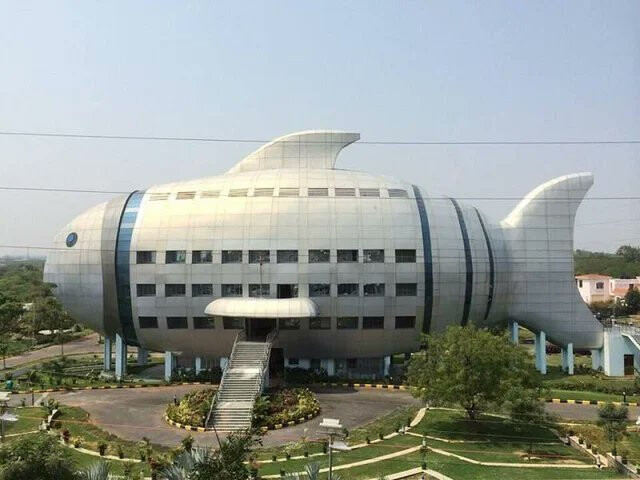 4510521.jpg 4510521.jpg