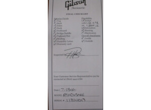 Gibson J45 (33826)
