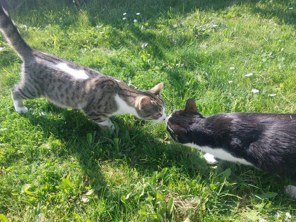 4512585.jpg 4512585.jpg