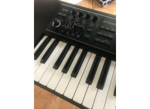 Roland JUNO-DS61 (41568)