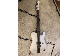 Fender Special Edition Esquire Custom GT (61953)