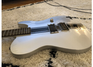 Fender Special Edition Esquire Custom GT (39134)