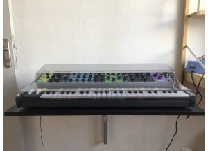 Moog Music Matriarch (8973)