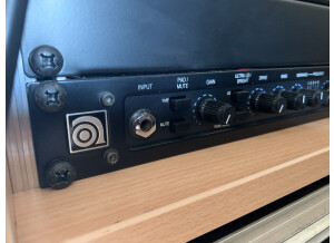 Ampeg SVP-Pro (86995)