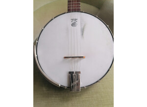 Deering Classic Goodtime 5-String Banjo