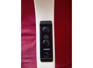 Fender Deluxe Acoustasonic Tele (58833)